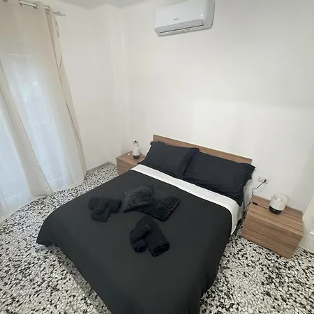 Black Angel Oak * Bari